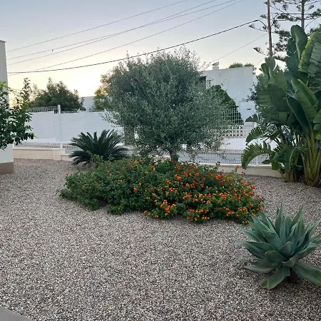 La Casa De La Olivera Luxurious House וילה *